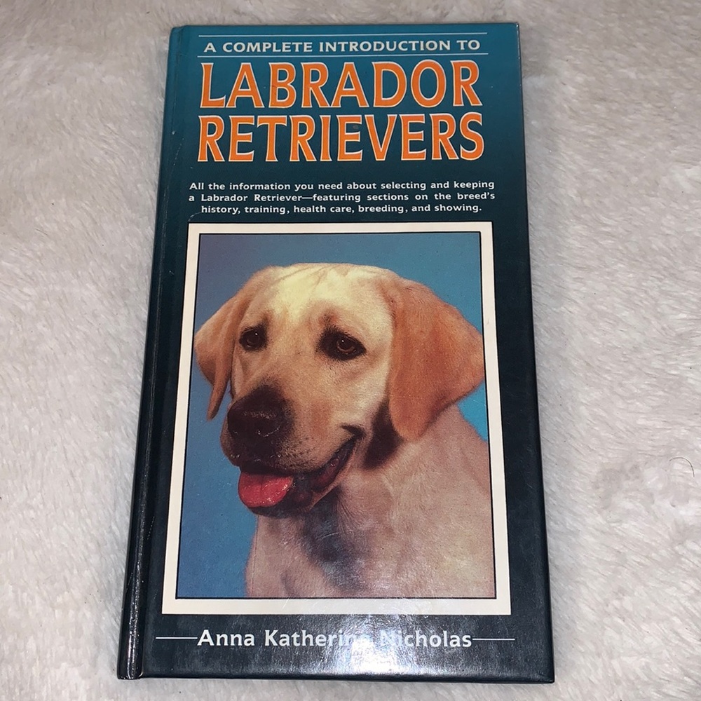 🔥4/$25🔥Labrador retrievers into guide